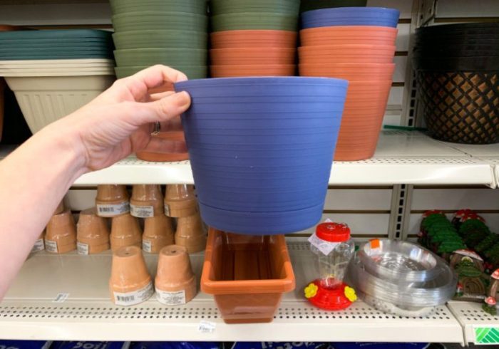 Dollar tree plant pots