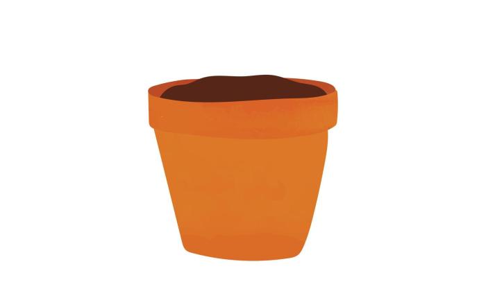 Hippie face plant pot amazon