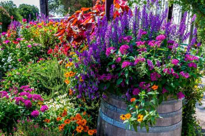 Best flowers to plant in a pot